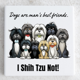 Man’s Best Friends, I Shih Tzu Not Ceramic Coaster