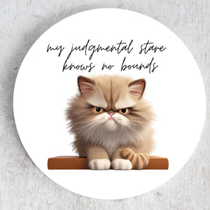"My Judgmental Stare Knows No Bounds" Cat Themed Ceramic Coaster